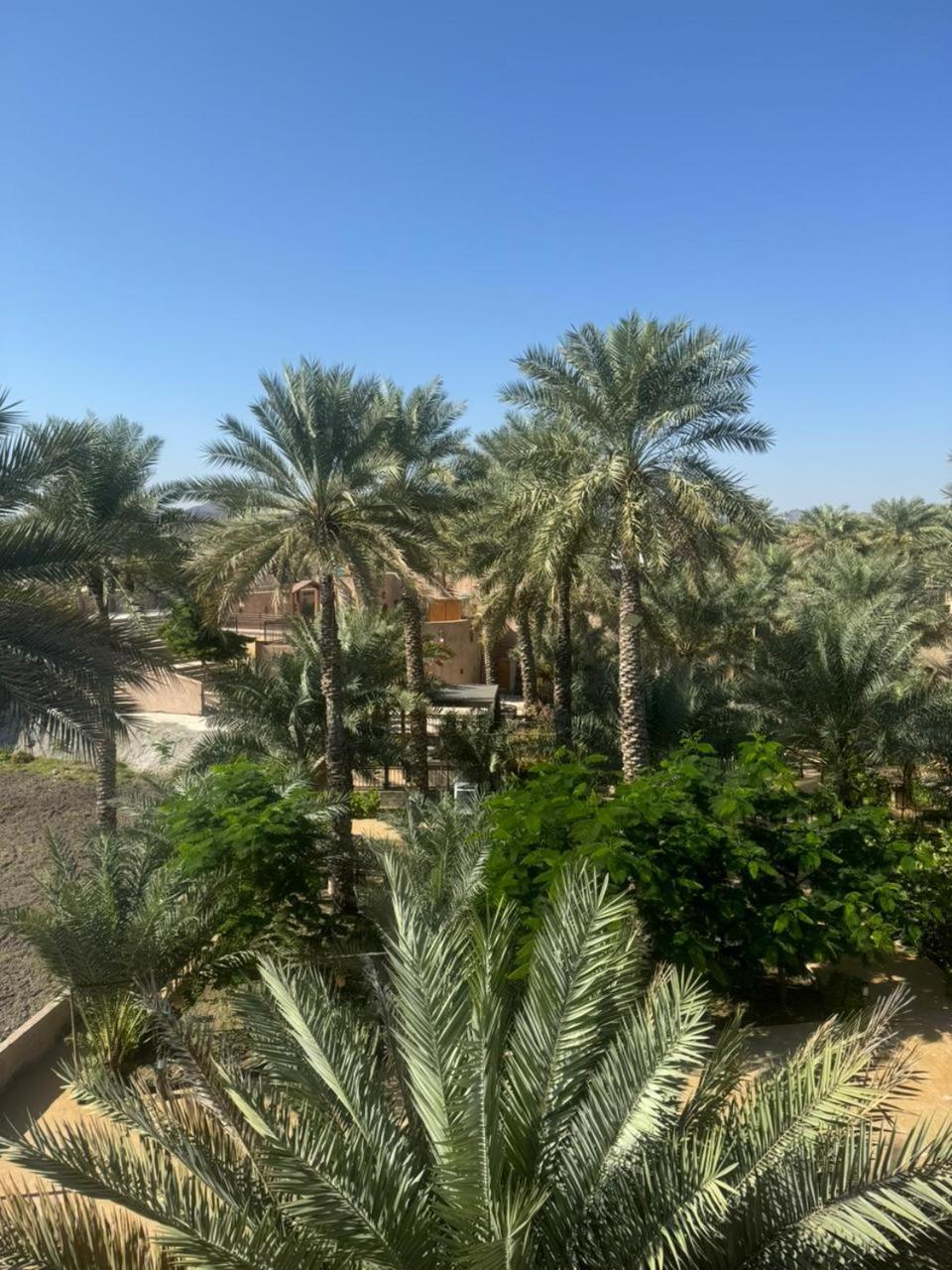 Jawharat Alaqar Inn نزل جوهرة العقر Nizwa Zewnętrze zdjęcie